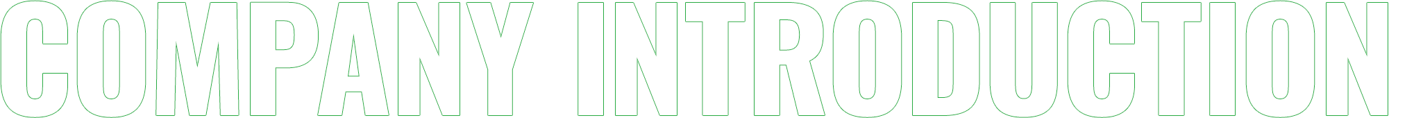 COMPANY INTRODUCTION